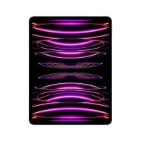 ราคา Apple iPad Pro 12.9-inch Wi-Fi + Cellular 256GB Space Gray 2022 (6th Gen) (194253253792)