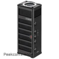 ราคา Yamaha PJP-10UR