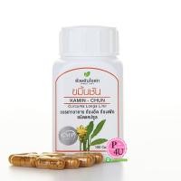 ราคา ขมิ้นชัน อ้วยอันโอสถ 100แคปซูล ขับลม บรรเทาอาการท้องอืด แน่นท้อง แก้โรคแผลกระเพาะอาหารและลำไส้อักเสบ (4701)