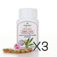 ราคา (ซื้อ3 ราคาพิเศษ) ขมิ้นชัน อ้วยอันโอสถ 100แคปซูล ขับลม บรรเทาอาการท้องอืด แน่นท้อง แก้โรคแผลกระเพาะอาหารและลำไส้อักเสบ (4703)