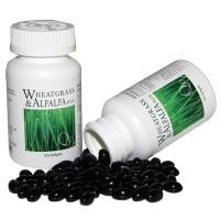 ราคา ผักเม็ด นิว ไลฟ์ Wheatgrass Alfalfa ของแท้ 1 ขวด 120แคปซูล ส่งฟรี ems ผักเม็ด นิว ไลฟ์ Wheatgrass Alfalfa ของแท้ 3 ขวด ส่งฟรี ems (465)