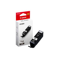 ราคา INK CARTRIDGE CANON CANON PGI-750PGBK (20250203870)