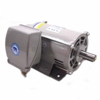 ราคา มอเตอร์ ไทยสิน THAISIN รุ่น TSM- 2 HP (4215)