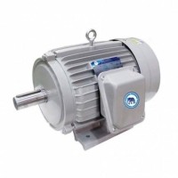 ราคา มอเตอร์ ไทยสิน THAISIN รุ่น TSM-5 HP (4217)