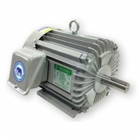 ราคา มอเตอร์ ไทยสิน THAISIN รุ่น TSM-2T (2 HP) 380V. IP44 (4219)
