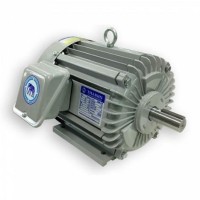 ราคา มอเตอร์ ไทยสิน THAISIN รุ่น TSM-5TF (5 HP) 380V. IP55 (4225)