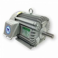 ราคา มอเตอร์ ไทยสิน THAISIN รุ่น TSM-3T (3 HP) 380V. IP44 (4226)
