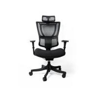 DF Prochair เก้าอี้เพื่อสุขภาพ รุ่น CL-H