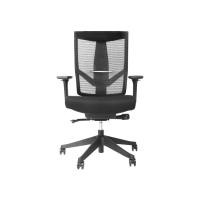Ergotrend เก้าอี้เพื่อสุขภาพ รุ่น Lund (No Headrest)