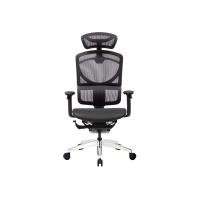 ราคา Ergotrend เก้าอี้เพื่อสุขภาพ รุ่น Gotland