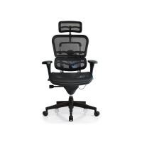 DF Prochair เก้าอี้เพื่อสุขภาพ รุ่น Ergo1