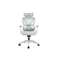 ราคา DreamDesk Ergonomic Chair เก้าอี้เพื่อสุขภาพ รุ่น X-Light