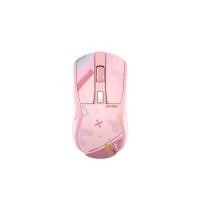 ราคา Dareu Wireless Gaming Mouse เมาส์เกมมิ่งไร้สาย รุ่น A950