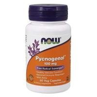 ราคา สารสกัดเปลือกสน ยี่ห้อ NOW Pycnogenol 100mg, 60 Veg Capsules (3503)