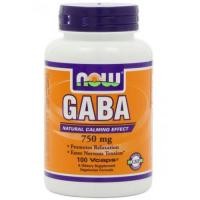 ราคา Gaba 750mg, 100 Vcaps NOW Foods (811)