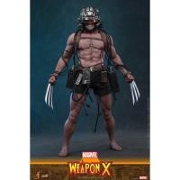 ราคา [Pre-Order] Marvel Comics 1- 6th scale Weapon X Collectible Figure - CMS034 (CMS034)