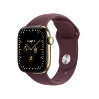 ราคา Apple Watch Series 12 Titanium Case - Sport Band (CF-APWS12-TTN-SPB)