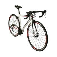 ราคา จักรยานเสือหมอบ Duslanti Mito-8 Roadbike 16สปีด 2017 (23)