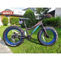 ราคา จักรยานมินิ Fatbike Trinx T100 7สปีด เฟรมอลู ล้อ20นิ้ว, TRINX MY2020 (3531)