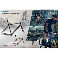 ราคา เฟรมเซ็ต Giant TCR Advanced SL frameset , Giant MY2018 (8871)