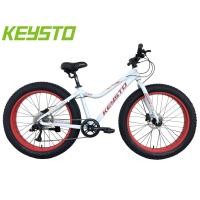 ราคา จักรยานล้อโต KEYSTO 26 นิ้ว เกียร์ 9 สปีค เฟรมเหล็ก, KS691 (10404)