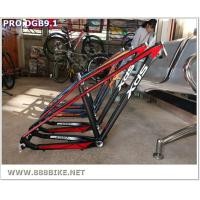 ราคา เฟรมจักรยาน เฟรมเซ็ต XDS PRO DGB 9.1 เฟรมเสือภูเขาล้อ 29er องศาแข่งขัน (6689)