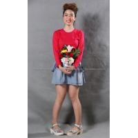 ราคา เสื้อยืด สีชมพูบานเย็น คอกลม แขนยาว Size S (2061)