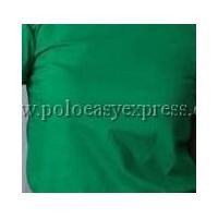 ราคา เสื้อยืดเด็ก สีเขียวใบไม้ คอกลม แขนสั้น Size S (2420)