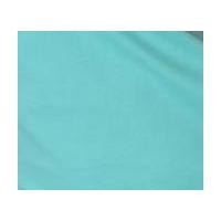 ราคา เสื้อยืด สีเขียวพาสเทล คอวี แขนยาว Size M (2633)