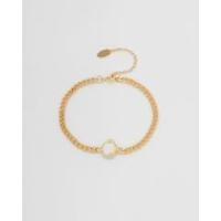 ราคา FLEXIBLE BRC_Gold