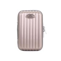 ราคา Pegasus Mini Exmoor สีทอง (299)