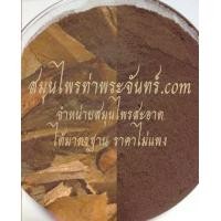 ราคา สมุนไพรเทพทาโร / ข่าต้น (5)