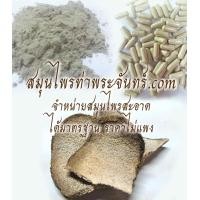 ราคา สมุนไพรหัวบุก (25)