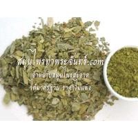 ราคา ใบมะขามแขกผง 100% ใบมะขามแขกผง 1กิโล (406)