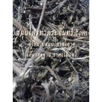 ราคา กระเพรา  500กรัม (831)