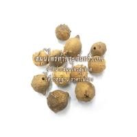 ราคา สมุนไพรเบญกานี (950)