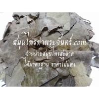 ราคา สมุนไพรใบมะกา (991)