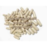 ราคา แคปซูลกระพังโหม / แคปซูลตดหมูตดหมา  500เม็ด (1551)