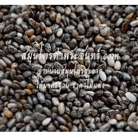 ราคา เจีย / เชีย / เม็ดเชีย / เม็ดเจีย / เมล็ดเจีย / เมล็ดเชีย(เมล็ด) Chia Seeds เจีย / เชีย / เม็ดเชีย / เม็ดเจีย / เมล็ดเจีย / เมล็ดเชีย(เมล็ด) 1กิโล (1586)
