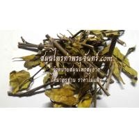 ราคา สมุนไพรกระดูกไก่ดำ / ปีกไก่ดำ (1623)