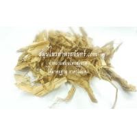 ราคา สมุนไพร ราก / หัวเตย (1642)