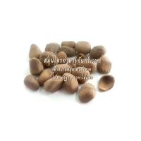 ราคา สมุนไพรลูกกระเบา (1658)