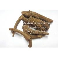 ราคา สมุนไพรโกฐกระดูก (1667)