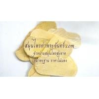ราคา สมุนไพรปักคี้ / ปัคกี้ (1673)