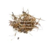 ราคา สมุนไพรผักคราดหัวแหวน (1756)