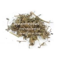 ราคา สมุนไพรกัญชาเทศ (1769)