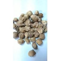 ราคา ลูกกระวานเทศ  1กิโล (870)