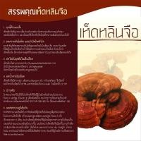 ราคา ทักแชทกิฟฟารีน เห็ดหลินจือสกัด ชนิดแคปซูล (1080197129)