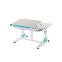 ราคา โต๊ะเขียนหนังสือเพื่อสุขภาพสำหรับเด็ก Kid2Youth รุ่น G6+XS (135)