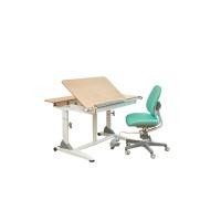ราคา ชุดโต๊ะเขียนหนังสือเพื่อสุขภาพสำหรับเด็ก Kid2Youth รุ่น G6+S + DUO (233)